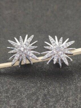 David Yurman Earrings